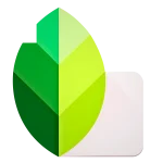 Remini mod apk alternative snapseed logo